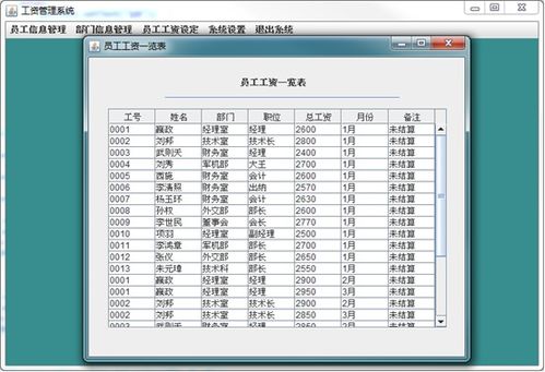 数据库工资管理系统,企业高效工资管理的利器