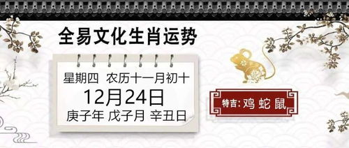 12月24日 十二生肖每日运势