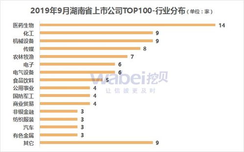 2019年9月湖南省A股上市公司市值TOP100 