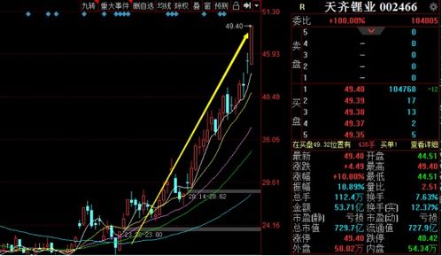 股票里所讲的二八现象或八二现象是什麼意思？