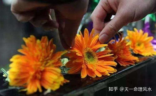 从风水的角度,看清明节如何祭祀和扫墓,随便祭扫影响运势 