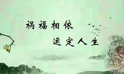 八字谈印身旺比劫旺的人,人生有命,时来运转,如何才能发财