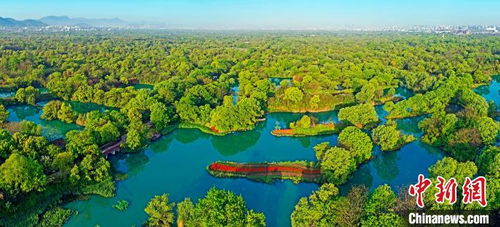 探秘杭州“绿肺”：西溪湿地博物馆，与自然和谐共生的绿色课堂