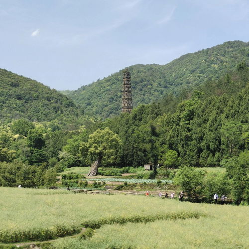 旅游风光分享 国清寺一日游 