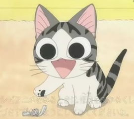 甜甜私房猫第二季64 少儿频道 苏州电视台网站 
