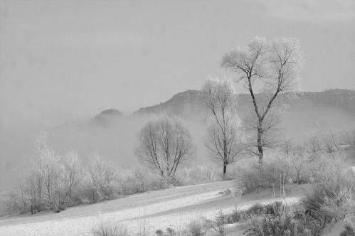 关于北方冬季雪的诗句