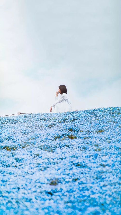 永保一颗少女心的星座