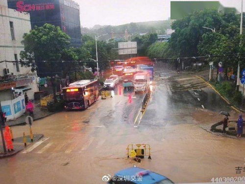 暴雨来袭,深圳交警提醒 这些路段有积水 影响通行