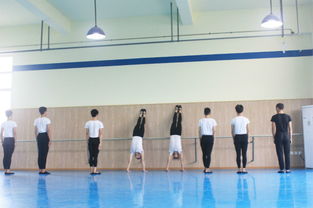 高中舞蹈艺考培训班