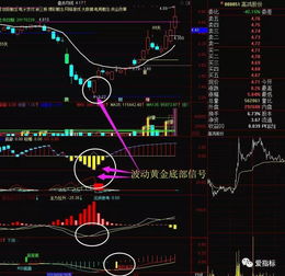 T 0分时黄金坑 绝无未来函数 分时最佳底部区参考