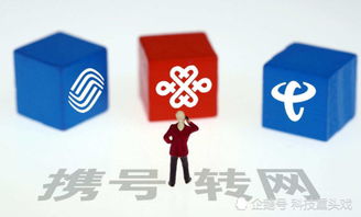 携号转网九不准五严禁具体内容(携号转网五个严禁是什么)