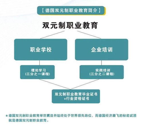 去德国读双元制有风险吗，德国的“双元制”具体指什么