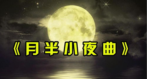 月半小夜曲中文谐音歌词,在网上广泛流传。