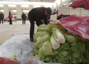 兴隆蔬菜水果批发市场启用,附近种植户卖菜更方便