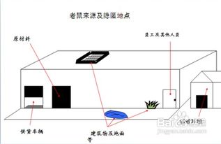 灭鼠方案模板(灭鼠技术培训教程)