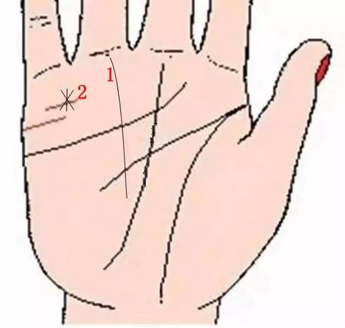 男人左手手纹算命图解怎么看 主要看手相的手纹脉络？