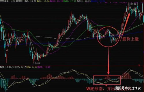 股票中10送x转x派x，这些都是什么意思呢？