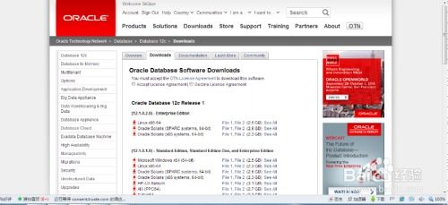 oracle11g修復