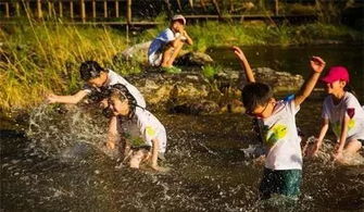 荆门的冷知识 荆门好眼力研学营地是干什么