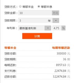 欠小额贷款30万怎么办