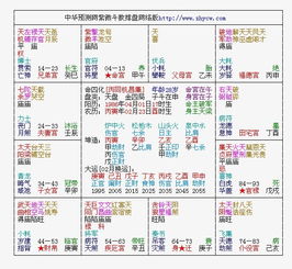 紫薇斗数解盘 求大师详细解 