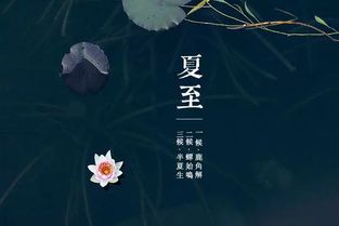 节气 夏至,如约而至 