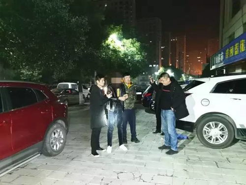 岳阳经开区警方破获多起系列砸车窗盗窃车内财物案