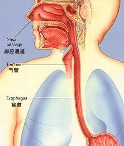 食道癌能治愈吗 答案原来是这样的 