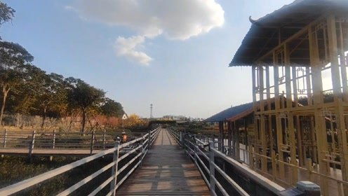 广州番禺化龙湿地公园散心,是一个休闲,约会的好地方