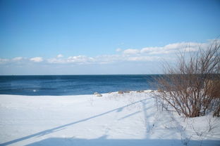 只为看雪 的北海道之旅