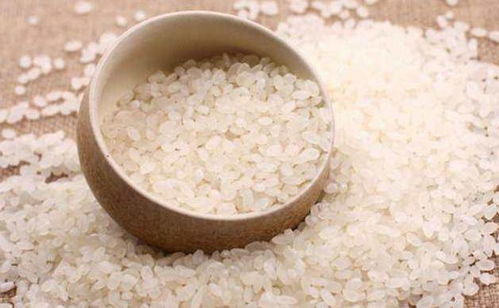 粳米是一种常见的粥类食材,能够很好的滋补身体缓解虚弱