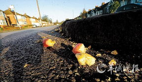 英国考文垂突下 苹果雨 大跌眼镜 气象局释疑 