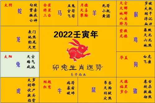 2022虎年十二生肖运程 生肖兔