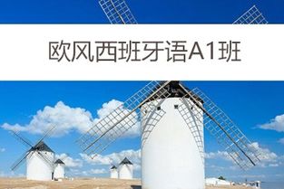 绵阳学西班牙语,绵阳哪里有学习西班牙语的?