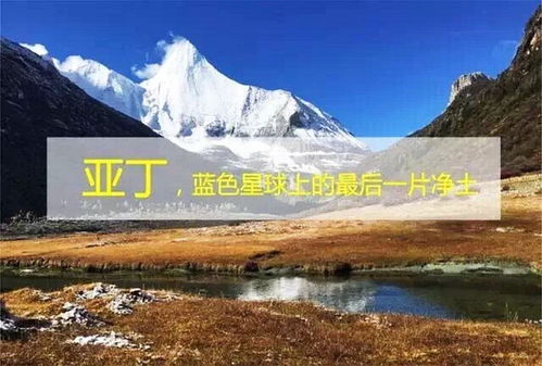 青藏地区旅游宣传提纲(初二下学期地理提纲)