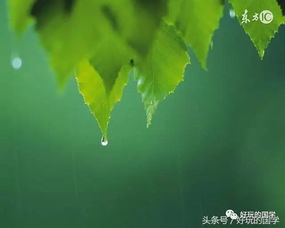 关于不同季节写雨的诗句