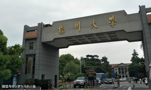 扬州大学王牌专业排名一览表
