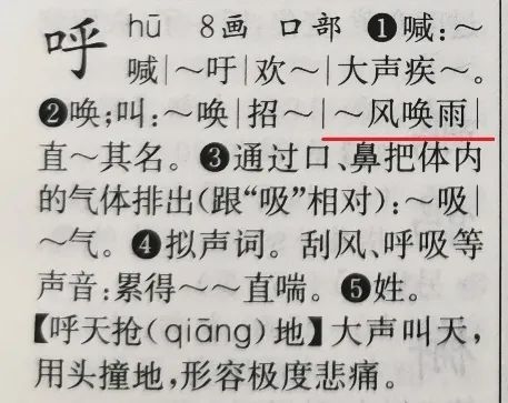 开学季到了,怎么给孩子选字典