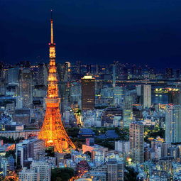 欣欣旅游,欣欣旅游记：尽享东京的繁华与文化