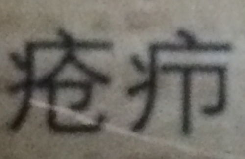 这两个字念什么 