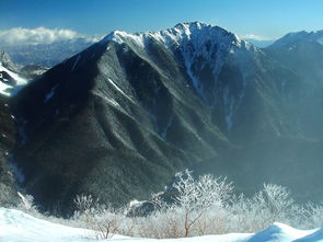 风与雪的交织，村庄与原野的守望，风对什么雪对什么