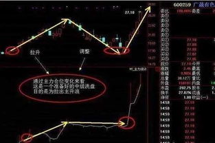 一位炒股高手酒后吐真言 坚持18年的跟庄原则,简单实用,从不被套