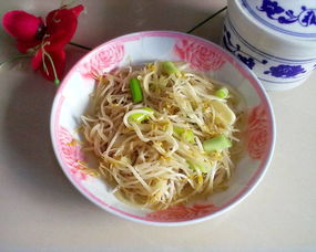 小炒豆芽的做法,小炒豆芽怎么做好吃,小炒豆芽的家常做法 莉莉lilili 