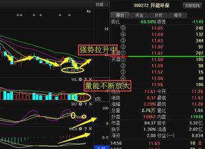 盾安环境股票为什么一下子从20多元跌到10元？