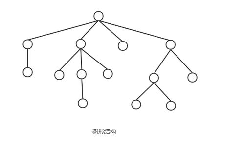 网状结构和链状结构的区别 网状结构和链状结构的区别 快讯