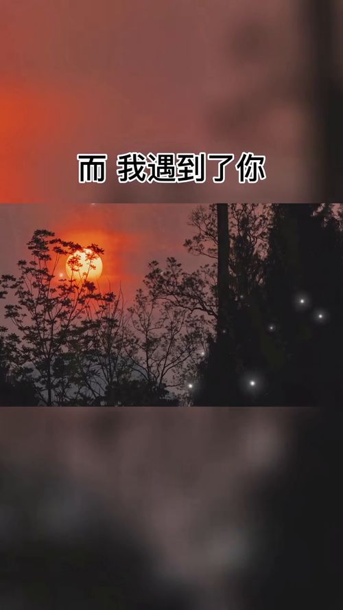 每天日思夜想的都是你 