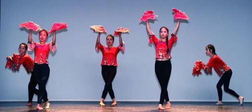 东方舞韵舞蹈培训学校,东方舞基本功的视频教程