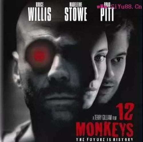 科幻电影十二猴子,电影十二猴子