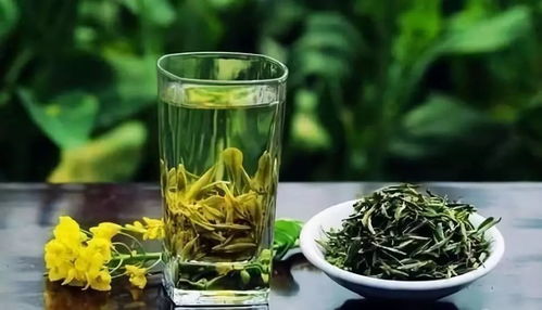 喝绿茶真的有减肥效果吗 天天喝绿茶能瘦多少