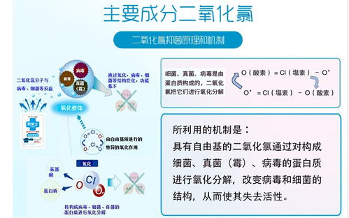 病毒依附在衣服上怎么办（病毒附在衣服上可以活多久） 第1张